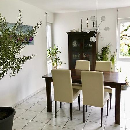 Ferienwohnung Annabelle Bodman-Ludwigshafen Zewnętrze zdjęcie